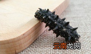 海参吃法家常做法 常见的海参吃法