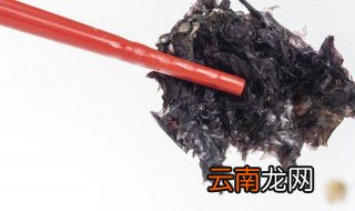 海苔主要是由哪种海藻制作的 关于海苔主要是由哪种海藻制作的问题