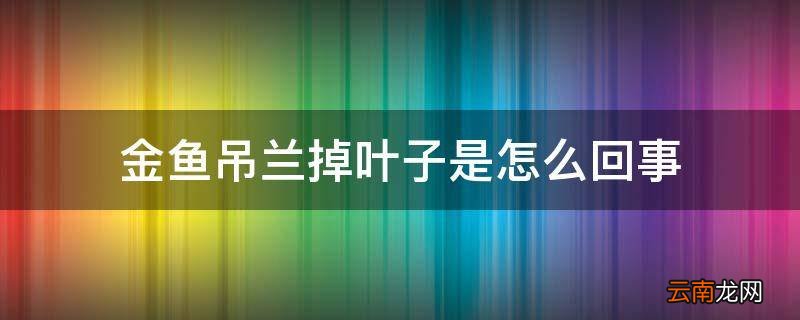 金鱼吊兰掉叶子是怎么回事