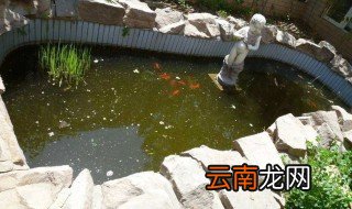 水池放哪里最旺财 水池放什么位置风水好