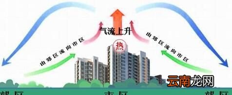 城市热岛效应会产生怎样的影响呢