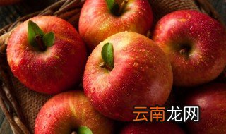 苹果渣能做什么 苹果渣可以做些什么
