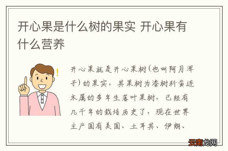 开心果是什么树的果实 开心果有什么营养