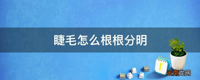 睫毛怎么根根分明