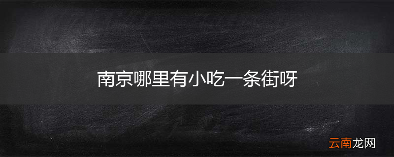南京哪里有小吃一条街呀