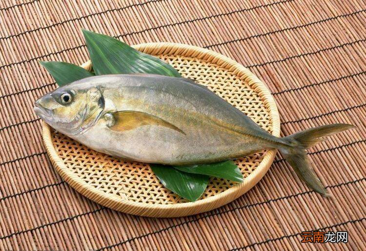 什么食物高蛋白质低脂肪