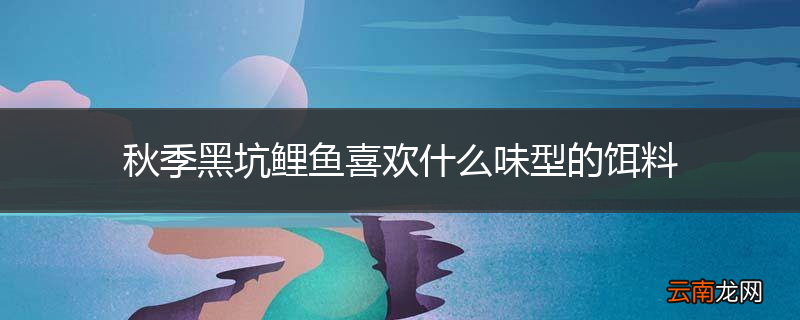 秋季黑坑鲤鱼喜欢什么味型的饵料