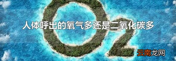 人体呼出的氧气多还是二氧化碳多