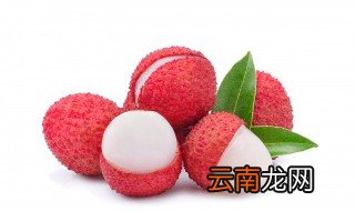 荔枝在什么季节成熟，荔枝在哪个季节成熟