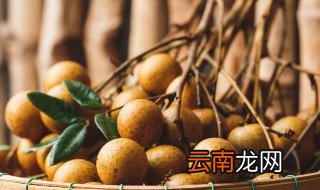 漳州什么特产比较适合带回去送人 漳州特产哪些比较适合带回去送人