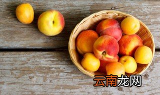 桃子一般是在什么季节成熟的 桃子是在什么季节成熟