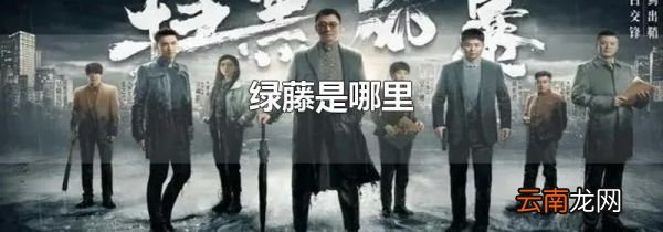绿藤是哪里