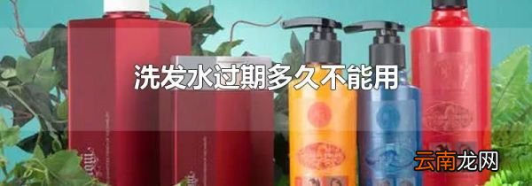 洗发水过期多久不能用