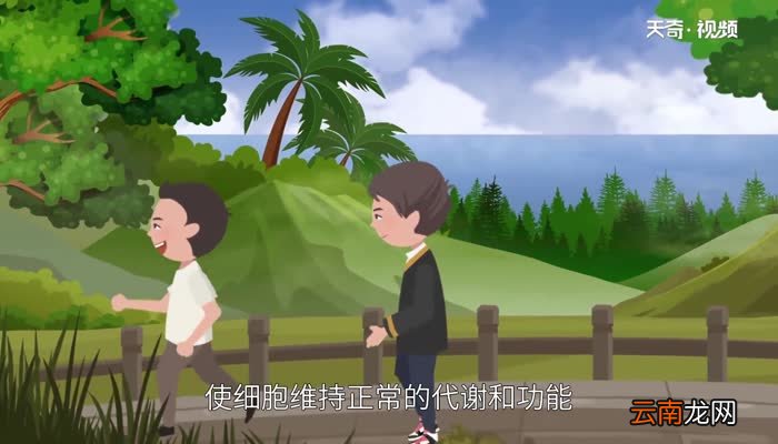心脏在哪边左还是右 心脏在左边还是右边