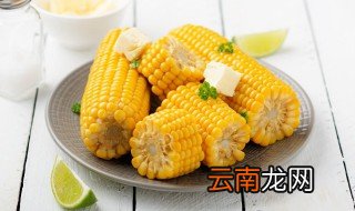 玉米是啥时候成熟 玉米是什么季节成熟