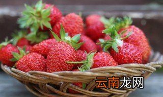 广州草莓什么季节成熟 广州草莓种植季节是几月份