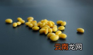 怎样挑选黄豆才能好吃 怎样挑选黄豆才能好吃呢