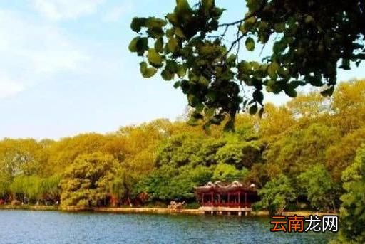 这几天大河里的鲫鱼在半水怎么钓