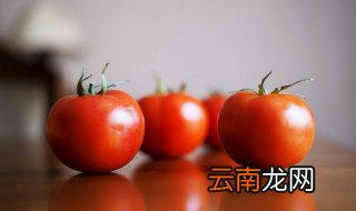 西红柿在什么季节成熟 西红柿在什么季节的时候成熟