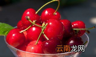 樱桃在什么季节成熟，樱桃的成熟季节是什么季节