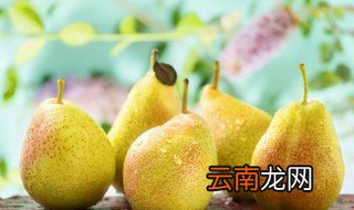 吐鲁番的香梨什么季节成熟 新疆香梨成熟的季节是几月