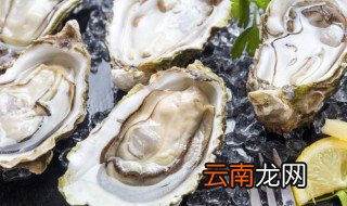 清蒸生蚝一般要蒸多久 清蒸生蚝要蒸多久