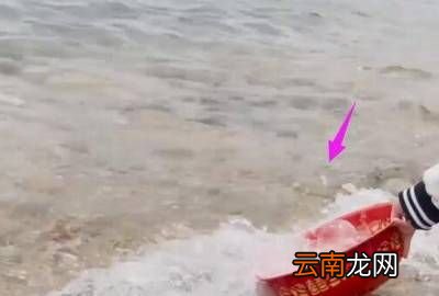 制盐的简单人工方法，最简单的制盐方法图文