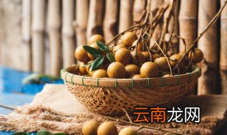桂圆什么季节成熟，桂圆是几月份成熟