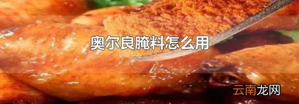 奥尔良腌料怎么用