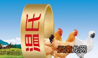 怎么加盟温氏养鸡 过来看