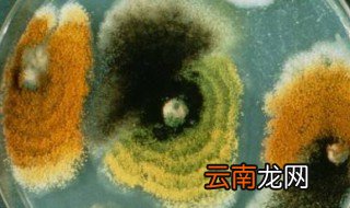 钠离子以什么方式进入细胞 钠离子进入细胞的方式