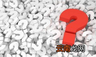 密室困游鱼讲什么 密室困游鱼的简介