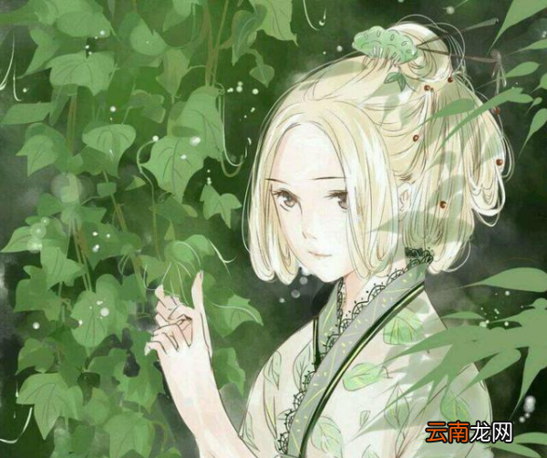 竹夫人是什么