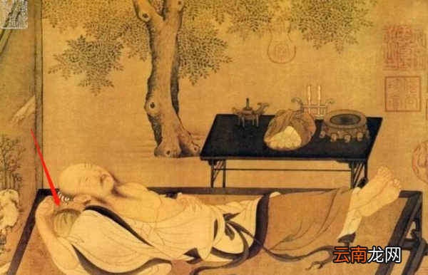 竹夫人是什么