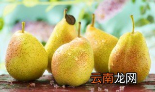 香梨几月份成熟期 丁香梨一般什么季节成熟