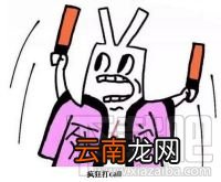 疯狂打call是什么意思？疯狂打call什么梗？