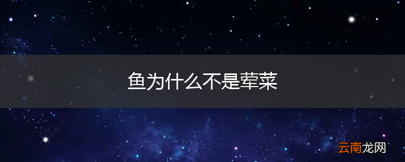 鱼为什么不是荤菜