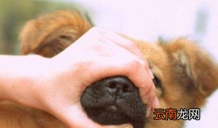 儿童嘴臭有什么方法可以解决,孩子口臭有什么应对方法？