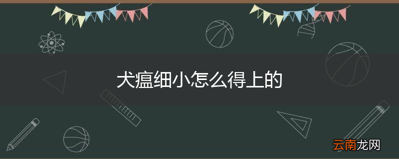 犬瘟细小怎么得上的
