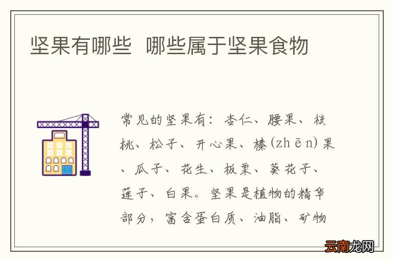 坚果有哪些哪些属于坚果食物