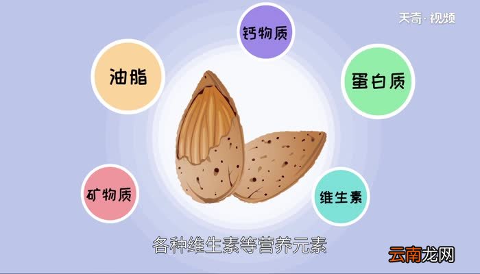 坚果有哪些哪些属于坚果食物