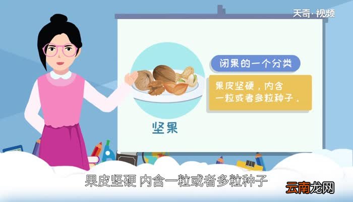 坚果有哪些哪些属于坚果食物