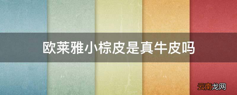 欧莱雅小棕皮是真牛皮吗
