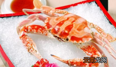 梭子蟹一年四季都有,梭子蟹和大闸蟹区别图片