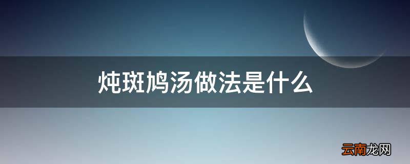 炖斑鸠汤做法是什么
