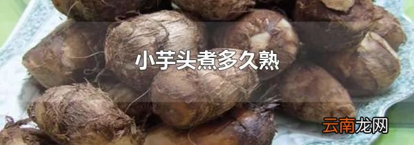 小芋头煮多久熟