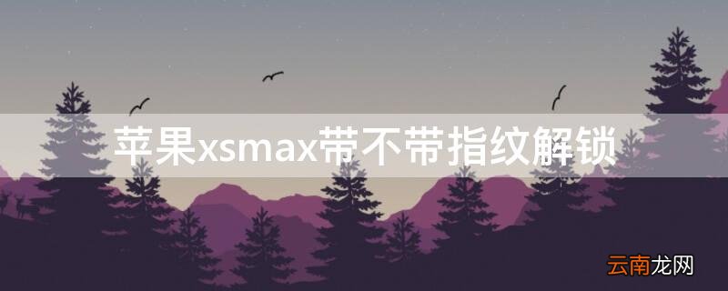 iPhonexsmax带不带指纹解锁 苹果xsmax不能指纹解锁吗
