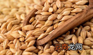 麦子的成熟季节是什么季节 麦子什么季节成熟