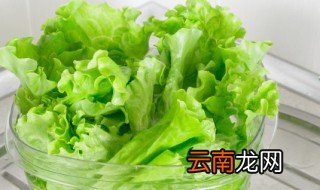 球生菜怎么切成丝 球生菜切成丝的方法