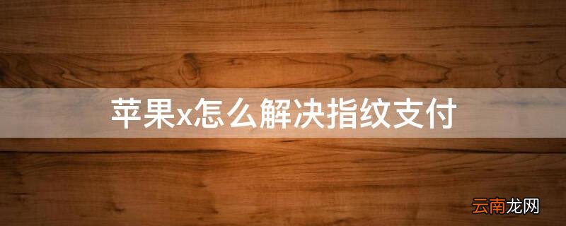 iPhonex怎么解决指纹支付 iphonexr指纹支付时怎么办